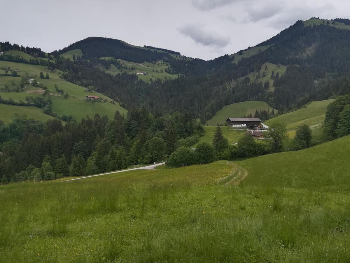 Appartements Alpenblick Soell Esterno foto